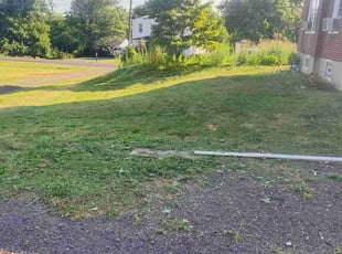 Sharee C.'s Lawn Service service result