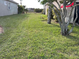 Inder S.'s Lawn Care service result