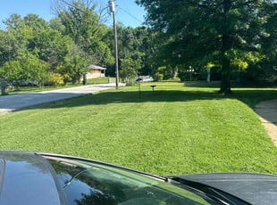 Anthony H.'s Lawn Mowing Service service result