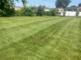 Frances A.'s Yard Cutting service result
