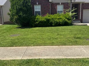 Joseph G.'s Lawn Service service result