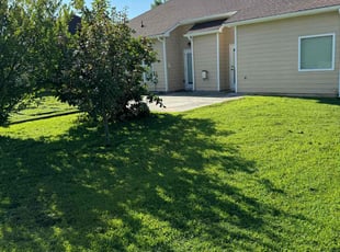 Cheron C.'s Lawn Mowing Service service result