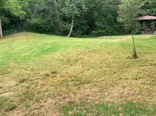 Cleanups by Roger Brock for Ethan H. in Plano, TX