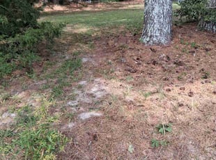Cleanups by Rhody Paul for Kayla C. in Kenly, NC
