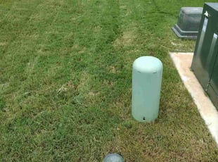 Nelson S.'s Lawn Service service result