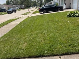 Weeding by Brandon Rachas for Derwin D. in Roseville, MI