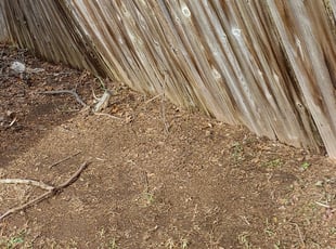 Cleanups by Rene Gabriel Ramirez for Brad P. in Round Rock, TX