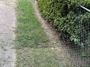 Carita H.'s Lawn Service service result
