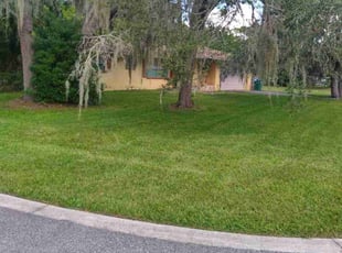 Faustina J.'s Lawn Care service result