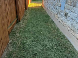 Sarah g.'s Grass Cutting service result