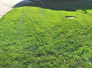 Braxton E.'s Lawn Care service result