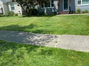 Laura N.'s Lawn Mowing service result