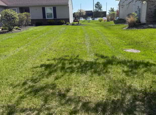 Joe R.'s Grass Cutting service result