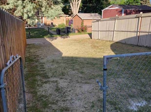Weeding by Jason Bickler for Cara R. in Berthoud, CO