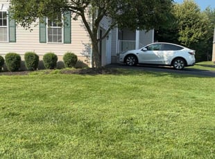 Robert K.'s Yard Cutting service result