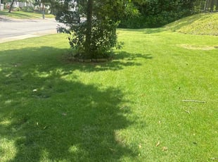 Corey P.'s Lawn Care service result