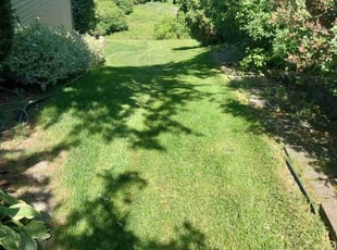 Linda S.'s Grass Cutting service result