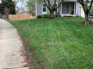 Beth H.'s Grass Cutting service result