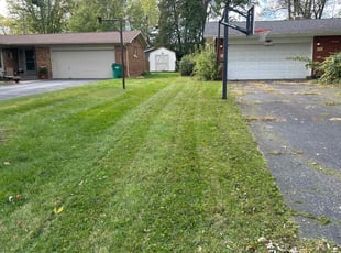 Daniel R.'s Lawn Care service result