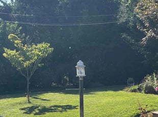 Stephen C.'s Lawn Mowing service result