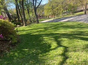 Eleanor C.'s Lawn Maintenance service result