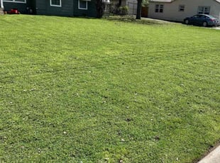 Jacqueline A.'s Lawn Care service result