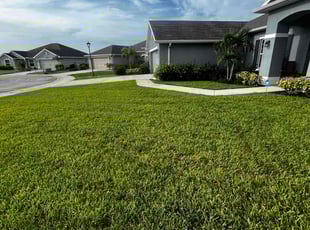 Sabrina S.'s Lawn Mowing service result