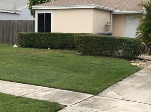 Bush Trimming by Jeremiah Williams for F. in Boca Raton, FL