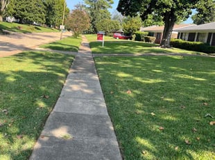 Danielle T.'s Lawn Care service result