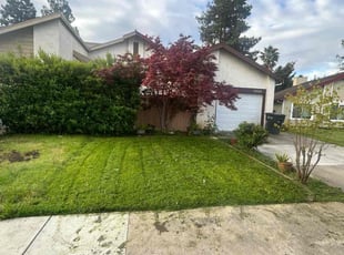 Stephen A.'s Lawn Maintenance service result