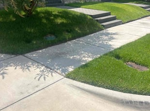 Cindy L.'s Yard Cutting service result