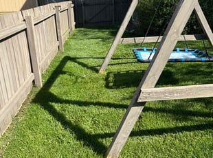 Sheila M.'s Lawn Care service result