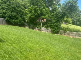 Joshua A.'s Lawn Care service result