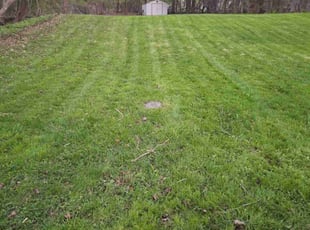 Yasmin S.'s Lawn Service service result