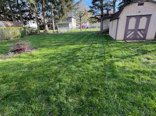 Ardelia H.'s Grass Cutting service result