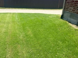 Jennifer N.'s Lawn Service service result