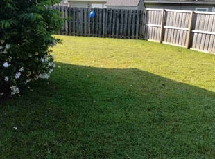 Eboni B.'s Lawn Mowing service result