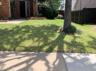 Chris T.'s Grass Cutting service result