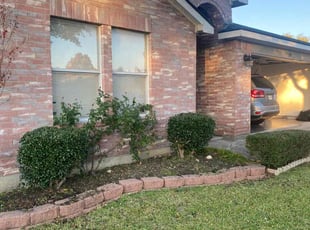 Bush Trimming by Victor Ramirez for Ava T. in Arlington, TX