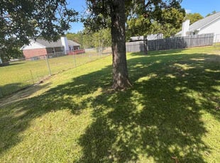 Derrick S.'s Lawn Mowing service result