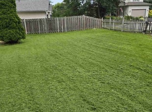 James A.'s Lawn Service service result