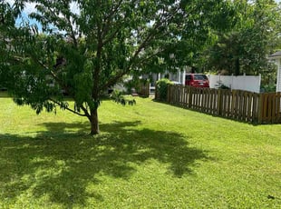 Brittney W.'s Lawn Service service result