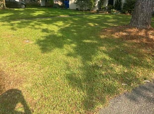 Barbara R.'s Lawn Maintenance service result