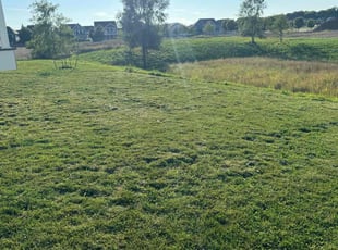 Gloria D.'s Lawn Mowing Service service result