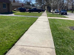Mary S.'s Lawn Mowing Service service result