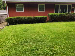 Bush Trimming by Howard Breunig for Zakiyyah S. in Madison, WI