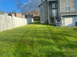 Manuela P.'s Lawn Mowing service result