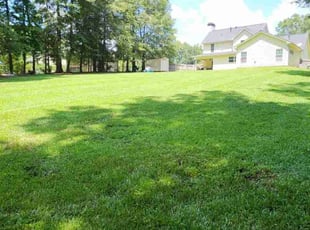 LaKeisha W.'s Lawn Mowing Service service result