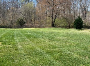 Kassandra D.'s Yard Cutting service result
