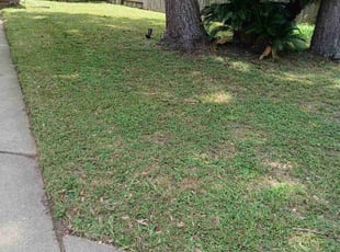 Mary K.'s Lawn Mowing Service service result